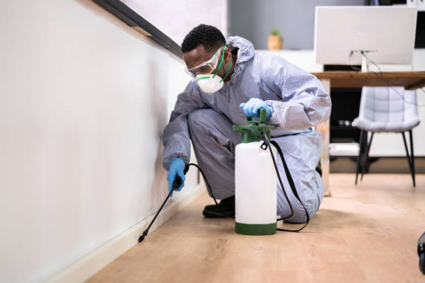 Pest Control for Hotels in North Babylon, NY